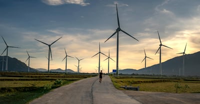 Wind Energy Ireland launches roadmap to Irish ‘electrostate’ at 2026 Annual Conference